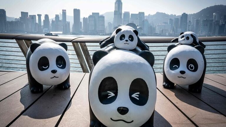 Panda_mania_Hits_Hong_Kong__2_500_Giant_Panda_Sculptures_Tour_the_City_