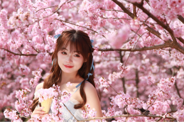Pastel Pink Clouds: Nanjing’s Breathtaking Cherry Blossoms Pastel_Pink_Clouds__Nanjing_s_Breathtaking_Cherry_Blossoms