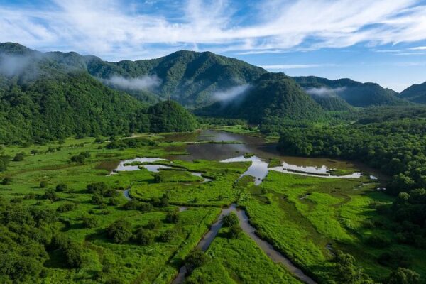 Peat Moss Magic: The Tiny Plant Shaping China’s Ancient Wetlands 🌿 Peat_Moss_Magic__The_Tiny_Plant_Shaping_China_s_Ancient_Wetlands__ video poster