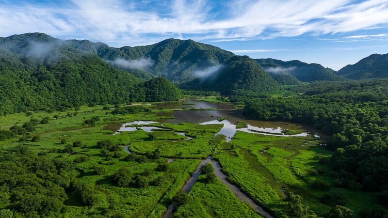 Peat_Moss_Magic__The_Tiny_Plant_Shaping_China_s_Ancient_Wetlands___poster - News for amigos, by amigos Peat_Moss_Magic__The_Tiny_Plant_Shaping_China_s_Ancient_Wetlands__ video poster