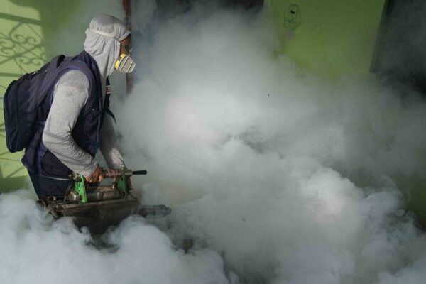 Peru’s Dengue Deaths Triple Amid Mosquito Surge 🦟🌡️ Peru_s_Dengue_Deaths_Triple_Amid_Mosquito_Surge____