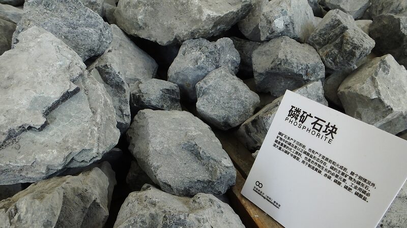 Plants_Absorb_Just_12_6__of_Phosphorus_Fertilizers____CAS_Study_Reveals