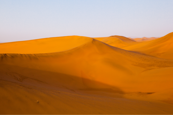 Power Up! China’s Massive Solar Project Lights Up the Desert ⚡️ Power_Up__China_s_Massive_Solar_Project_Lights_Up_the_Desert___