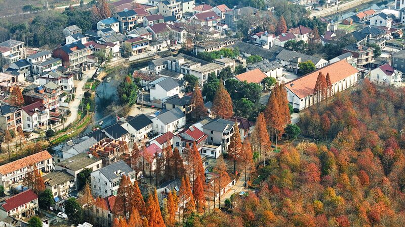 President_Xi_Calls_for_Rural_Revamp___Boosting_China_s_Agriculture_Strength - News for amigos, by amigos President_Xi_Calls_for_Rural_Revamp___Boosting_China_s_Agriculture_Strength