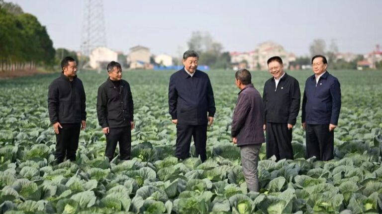 __President_Xi_Calls_for_Speedy_Rural_Revitalization_to_Boost_China_s_Modernization