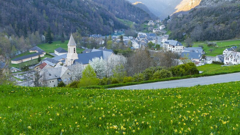 President_Xi_Jinping_Arrives_in_Tarbes__France_for_Landmark_Visit_____ video poster