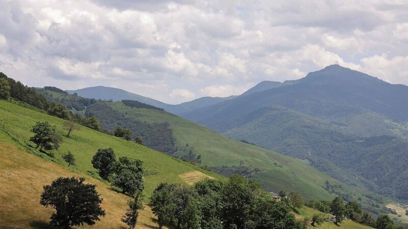 President_Xi_Jinping_Lands_in_Tarbes__A_New_Chapter_in_China_France_Relations______ - News for amigos, by amigos President_Xi_Jinping_Lands_in_Tarbes__A_New_Chapter_in_China_France_Relations______