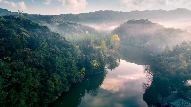 Professor_Liu_s_Quest__Saving_Rare_Fish_in_the_Yangtze_River___ video poster