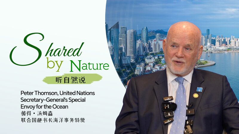 Qingdao_Shines_in_Supporting_UN_Ocean_Science_Decade___poster - News for amigos, by amigos Qingdao_Shines_in_Supporting_UN_Ocean_Science_Decade__ video poster