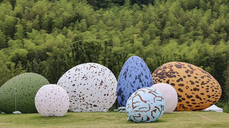 Qingshan_Village__Where_Tradition_Meets_Green_Innovation__ video poster