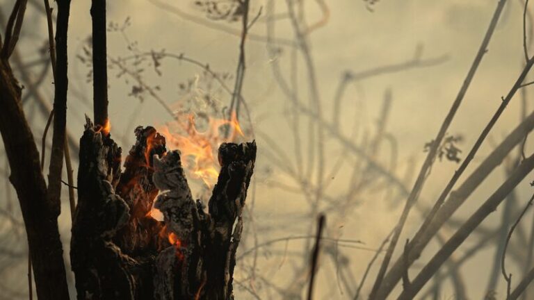 Record_Breaking_Fires_Blaze_Through_Brazil_s_Amazon_for_Third_Month_Straight___