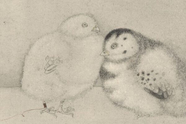 Rediscovering Rural Innocence: Liu Wanming’s Enchanting Paintings Rediscovering_Rural_Innocence__Liu_Wanming_s_Enchanting_Paintings video poster