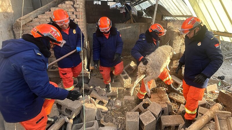 Rescue_Efforts_Continue_After_M6_2_Earthquake_in_Northwest_China_Claims_135_Lives_poster - News for amigos, by amigos Rescue_Efforts_Continue_After_M6_2_Earthquake_in_Northwest_China_Claims_135_Lives video poster