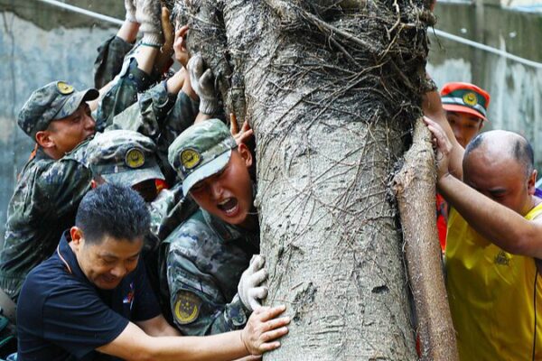 Resilience in Action: Hainan Bounces Back After Super Typhoon Yagi 🌴💪 Resilience_in_Action__Hainan_Bounces_Back_After_Super_Typhoon_Yagi___