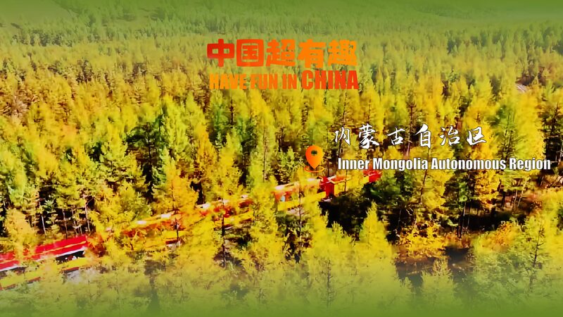 Ride_Through_Moerdaoga_s_Autumn_Wonderland_in_Inner_Mongolia__poster - News for amigos, by amigos Ride_Through_Moerdaoga_s_Autumn_Wonderland_in_Inner_Mongolia_ video poster