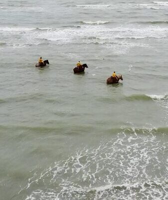 🏇🐟 Riding Waves and Traditions: The Horseback Shrimp Fishermen of Oostduinkerke ___Riding_Waves_and_Traditions__The_Horseback_Shrimp_Fishermen_of_Oostduinkerke video poster