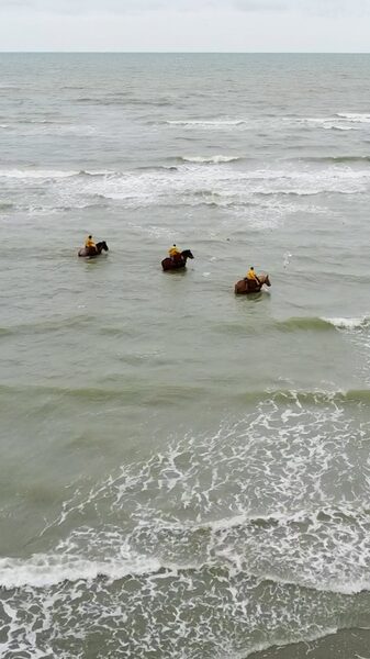 Riding_Waves_and_Traditions__The_Horseback_Shrimp_Fishermen_of_Oostduinkerke_poster - News for amigos, by amigos ___Riding_Waves_and_Traditions__The_Horseback_Shrimp_Fishermen_of_Oostduinkerke video poster