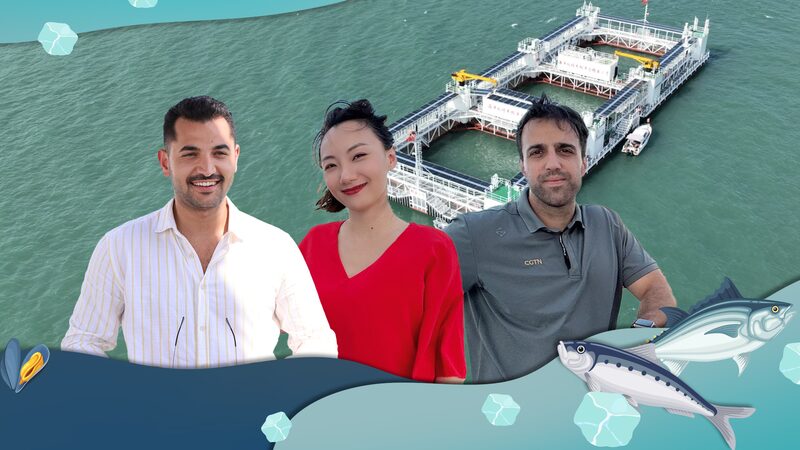 Riding_the_Waves_of_Innovation__China_s_Futuristic__Blue_Farm_____poster - News for amigos, by amigos Riding_the_Waves_of_Innovation__China_s_Futuristic__Blue_Farm____ video poster