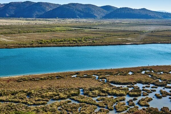 Rising Temps Ruffle Feathers: Migratory Birds Leaving Albania’s Wetlands 🌞🐦 Rising_Temps_Ruffle_Feathers__Migratory_Birds_Leaving_Albania_s_Wetlands___