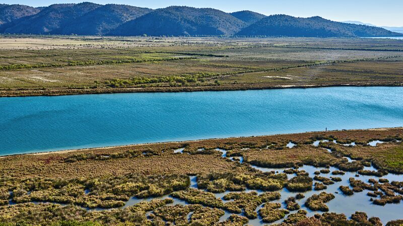 Rising_Temps_Ruffle_Feathers__Migratory_Birds_Leaving_Albania_s_Wetlands___ - News for amigos, by amigos Rising_Temps_Ruffle_Feathers__Migratory_Birds_Leaving_Albania_s_Wetlands___