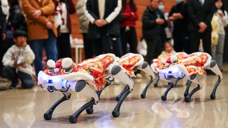 Robot_Dogs_Take_Over_Beijing_s_Lion_Dance_Tradition___ - News for amigos, by amigos Robot_Dogs_Take_Over_Beijing_s_Lion_Dance_Tradition___