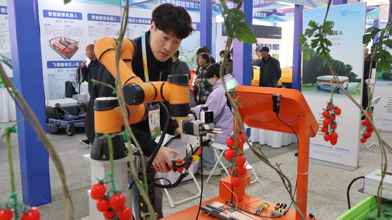 Robot_Revolutionizes_Tomato_Harvest_at_China_Hi_Tech_Fair - News for amigos, by amigos __Robot_Revolutionizes_Tomato_Harvest_at_China_Hi_Tech_Fair