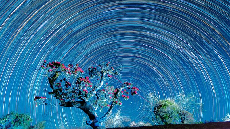 Romantic_Nights__Azaleas_and_Star_Trails_Light_Up_Shizhu_Village___ - News for amigos, by amigos Romantic_Nights__Azaleas_and_Star_Trails_Light_Up_Shizhu_Village___