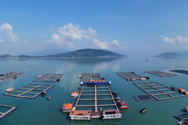 Sandu’ao’s Floating Village: Riding the Waves Toward Sustainable Fishing 🐟🌊 Sandu_ao_s_Floating_Village__Riding_the_Waves_Toward_Sustainable_Fishing___ video poster