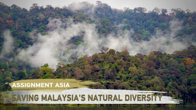 Saving_Malaysia_s_Ancient_Rainforest__Volunteers_Fight_for_Biodiversity video poster