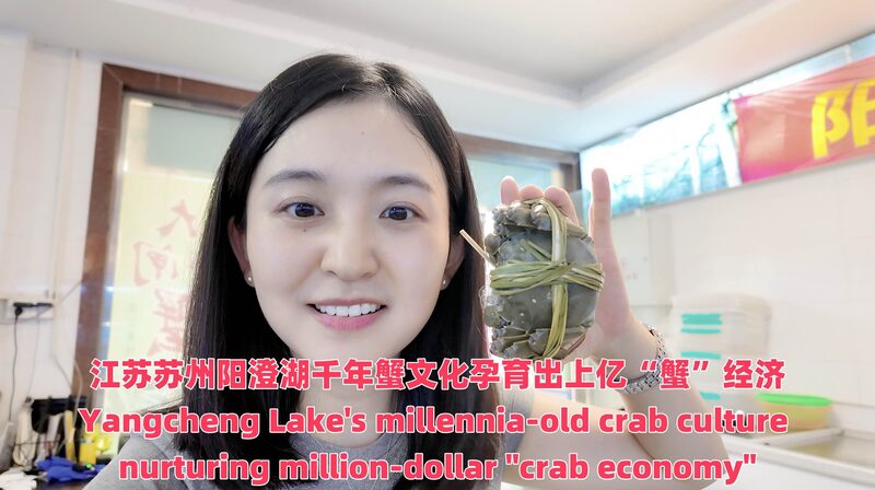 Savor_the_Season__Yangcheng_Lake_s_Hairy_Crabs_Return_Despite_Typhoon_poster - News for amigos, by amigos Savor_the_Season__Yangcheng_Lake_s_Hairy_Crabs_Return_Despite_Typhoon video poster