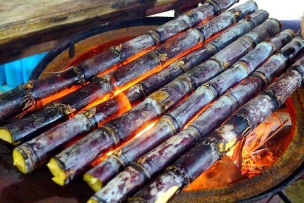 Savor the Sizzle: Grilled Sugarcane Delight in Hainan! Savor_the_Sizzle__Grilled_Sugarcane_Delight_in_Hainan_