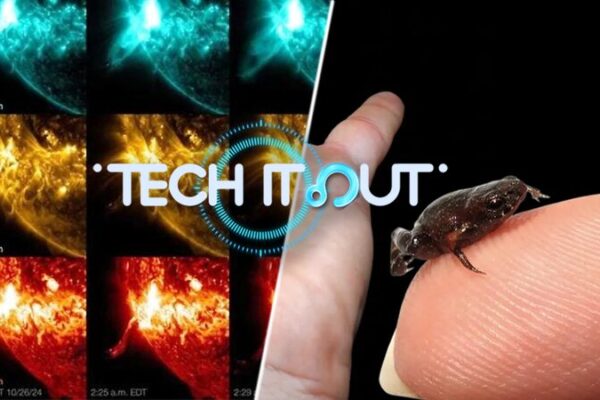 Science Saturday: China’s Green Power, Mini Frogs, Ocean CO₂ & Solar Flares! 🌞🐸🌊☀️ Science_Saturday__China_s_Green_Power__Mini_Frogs__Ocean_CO2___Solar_Flares_______