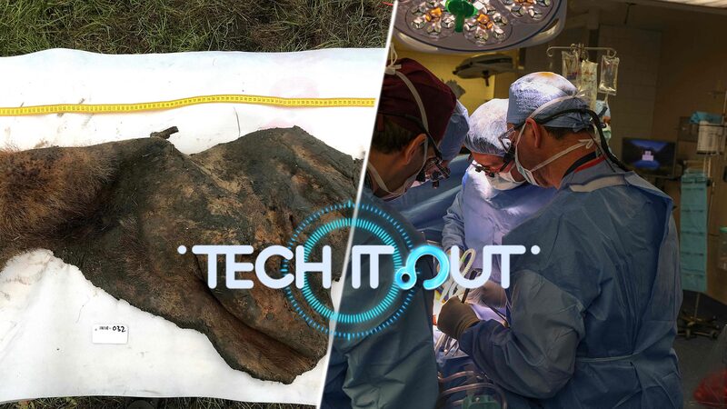 Science_Saturday__Mammoth_DNA_Revival__Black_Hole_Discovery__Pig_Kidney_Transplant___SpaceX_Rocket_Hiccup____poster - News for amigos, by amigos Science_Saturday__Mammoth_DNA_Revival__Black_Hole_Discovery__Pig_Kidney_Transplant___SpaceX_Rocket_Hiccup___ video poster