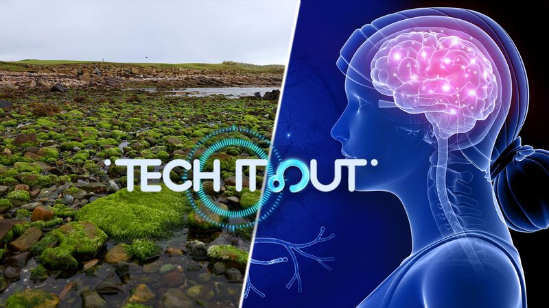 Science_Saturday__Space_Moss__Brain_Healing__Butterflies___Black_Holes_This_Week_s_Top_Discoveries_poster - News for amigos, by amigos Science_Saturday__Space_Moss__Brain_Healing__Butterflies___Black_Holes_This_Week_s_Top_Discoveries video poster