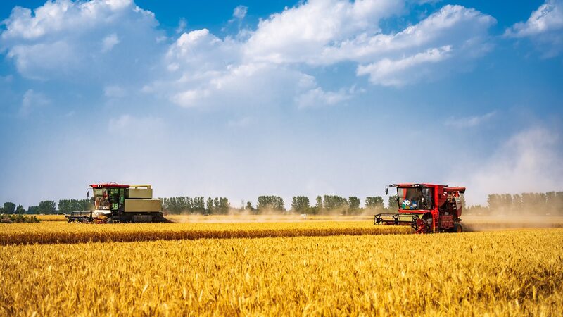 Scientists_Discover_Bacteria_That_Slashes_Farm_Emissions__