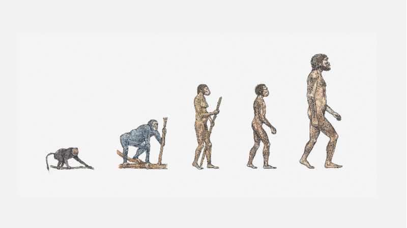 Scientists_Rally_for_African_Led_Research_to_Decode_Human_Evolution___ - News for amigos, by amigos Scientists_Rally_for_African_Led_Research_to_Decode_Human_Evolution___