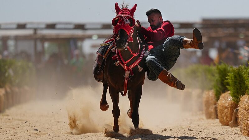Scientists_Uncover_4_000_Year_Old_Horse_Lineage_That_Changed_History__ - News for amigos, by amigos Scientists_Uncover_4_000_Year_Old_Horse_Lineage_That_Changed_History__