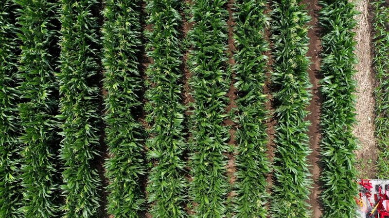 Scientists_Unite_to_Save_China_s_Black_Soil__ - News for amigos, by amigos Scientists_Unite_to_Save_China_s_Black_Soil__