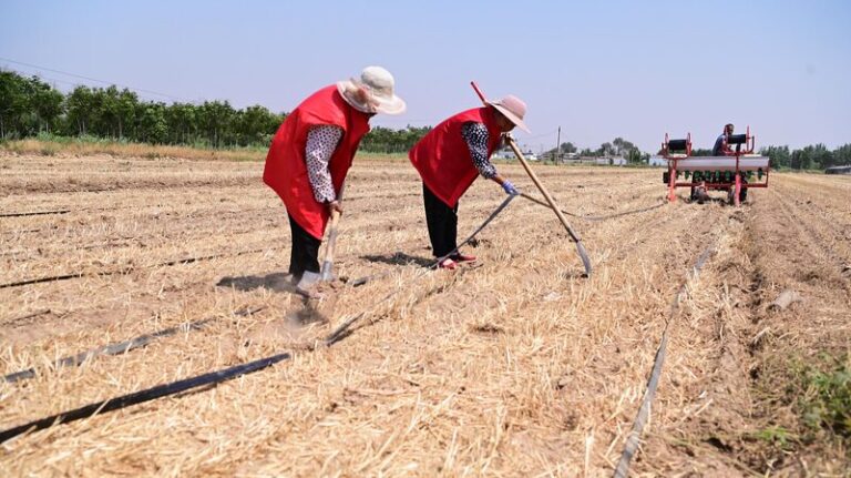 Scorching_Heat_and_Drought_Grip_China_s_Heartland___