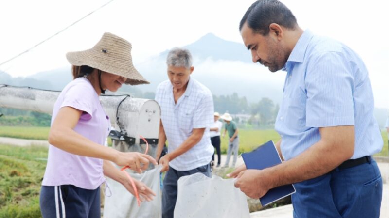 Seeds_of_Hope__Pakistan_and_China_s_Hybrid_Rice_Revolution__ - News for amigos, by amigos Seeds_of_Hope__Pakistan_and_China_s_Hybrid_Rice_Revolution__