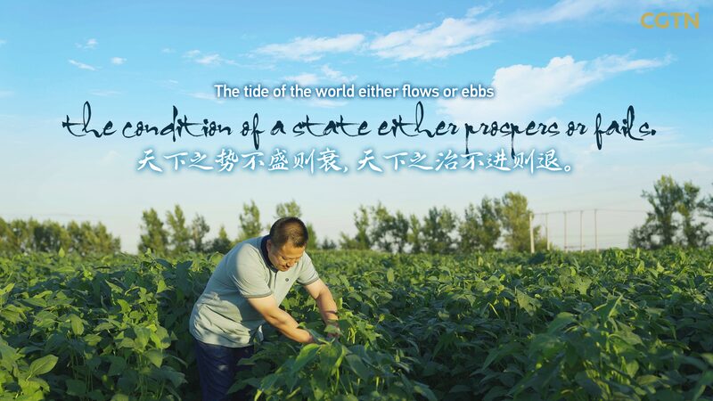 Seeds_of_Security__Why_China_Sees_Seeds_as_a_National_Priority video poster