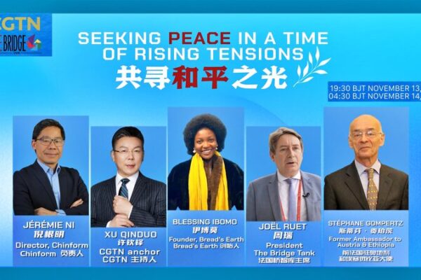 🌍 Seeking Peace: How China and the EU Can Make a Difference __Seeking_Peace__How_China_and_the_EU_Can_Make_a_Difference video poster