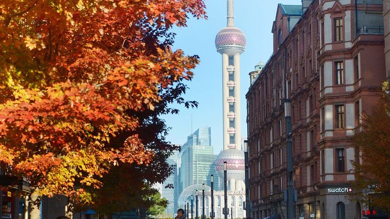 Shanghai_s_Bund_Transforms_into_Autumn_Paradise_as_Maple_Leaves_Turn_Caramel - News for amigos, by amigos Shanghai_s_Bund_Transforms_into_Autumn_Paradise_as_Maple_Leaves_Turn_Caramel