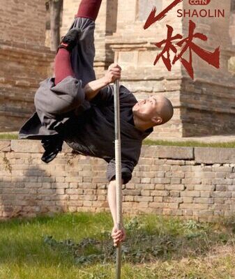 Shaolin Temple: Unleash Your Inner Kung Fu Warrior Shaolin_Temple__Unleash_Your_Inner_Kung_Fu_Warrior video poster