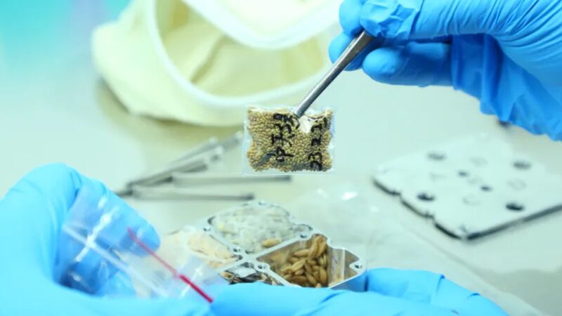 Shenzhou_17_Returns__China_Delivers_31_5_kg_of_Space_Samples_to_Scientists__ - News for amigos, by amigos Shenzhou_17_Returns__China_Delivers_31_5_kg_of_Space_Samples_to_Scientists__