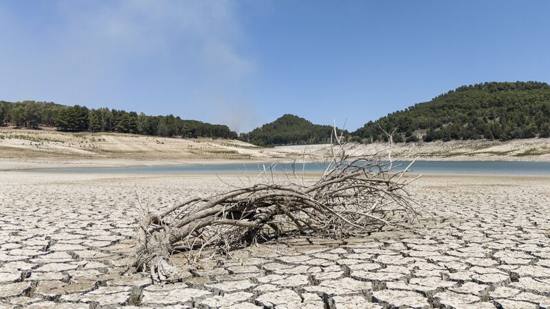 Sicily_s_Scorching_Drought_Leaves_Fields_Barren_and_Livestock_Thirsty___
