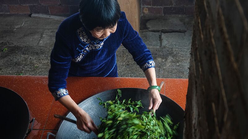 Sip_Tradition__Meet_the_Guardian_of_Guangxi_s_Legendary_Liubao_Tea - News for amigos, by amigos Sip_Tradition__Meet_the_Guardian_of_Guangxi_s_Legendary_Liubao_Tea