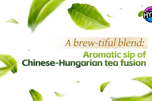 Sipping Unity: The Enchanting Fusion of Chinese-Hungarian Tea Culture Sipping_Unity__The_Enchanting_Fusion_of_Chinese_Hungarian_Tea_Culture video poster