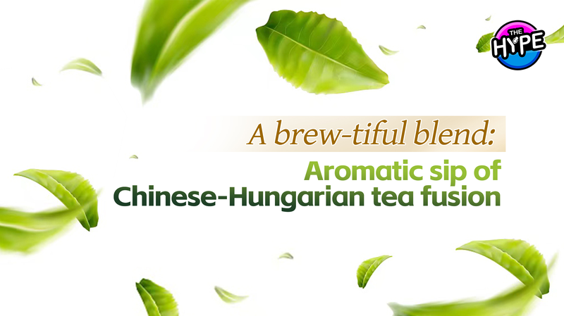 Sipping_Unity__The_Enchanting_Fusion_of_Chinese_Hungarian_Tea_Culture_poster - News for amigos, by amigos Sipping_Unity__The_Enchanting_Fusion_of_Chinese_Hungarian_Tea_Culture video poster