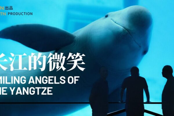 Smiling_Angels_of_the_Yangtze__Saving_the__Panda_in_the_Water____ video poster